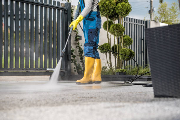 Best Solar Panel Cleaning  in Park Ridge, NJ